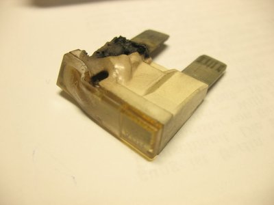IMG_5022_1.jpg
